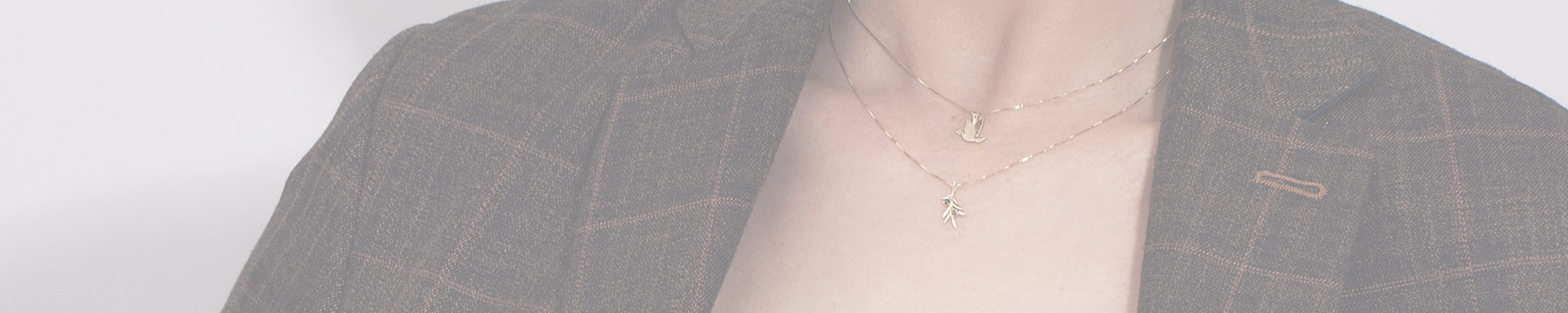 יונה / עלה של זית